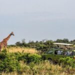 How to Attract tourists to Uganda as a Safari destination