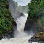 Top 10 Activities To Do In Murchison Falls