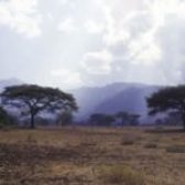 Best Wilderness Safari Activities in Kidepo
