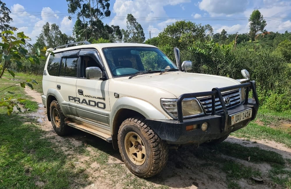 Land Cruiser TX for Hire